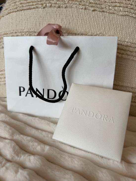 RARE❗️ Retired PANDORA ESSENCE Set of 2 Bracelets & 4 Charms - Picture 4 of 17